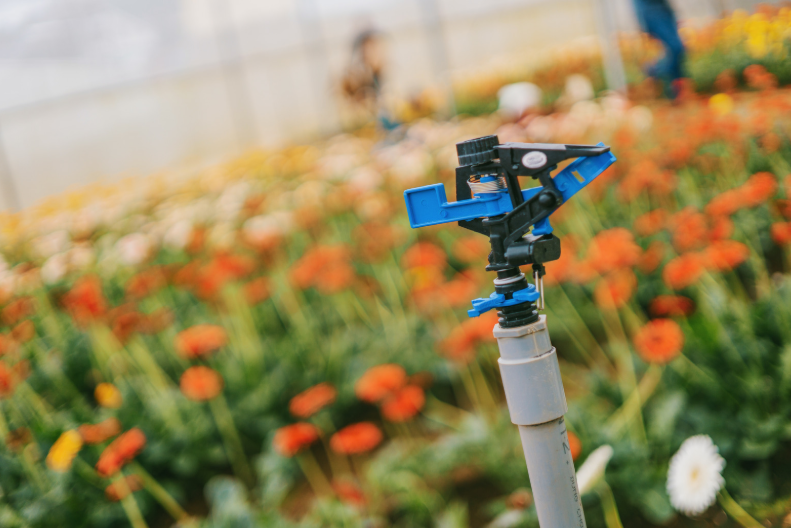 Sprinkler Installation